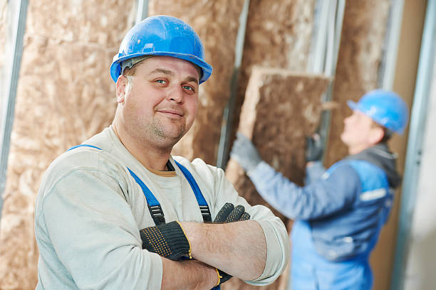 Best Insulation Contractors for Homes  in Franklin Park, NJ